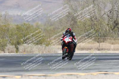 media/Apr-20-2025-CVMA (Sun) [[39090e8767]]/Race 10-Stock 1000 Shootout/